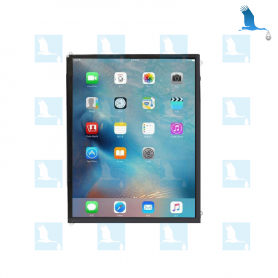 LCD - iPad 2