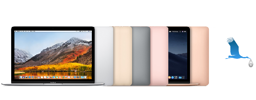 A1534 MacBook10,1 R12"