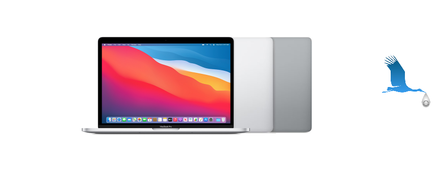 A2338 MacBookPro17,1 13"