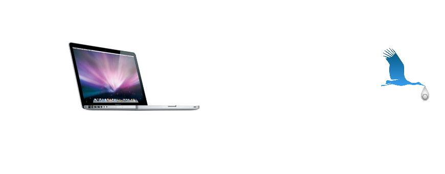 A1286 MacBookPro5,1 15"