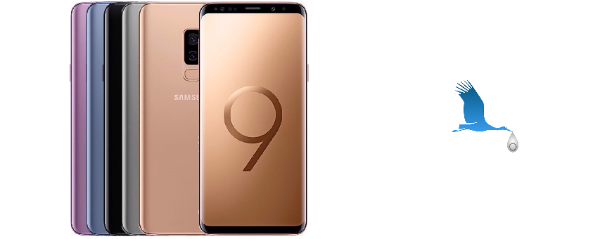 Galaxy S9+ (SM-G965)