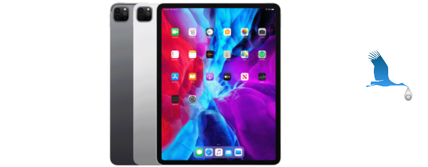 iPad Pro 4 - 12.9" (2020)