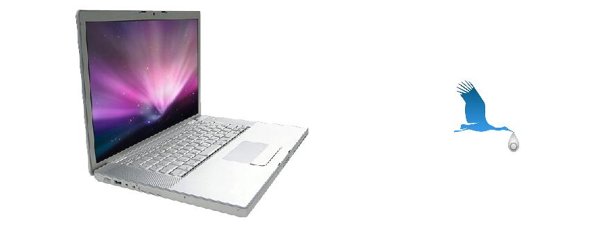 A1212 MacBookPro2,1 17"