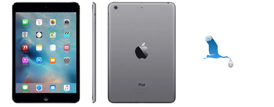 iPad mini 1 (2012) 7.9"
