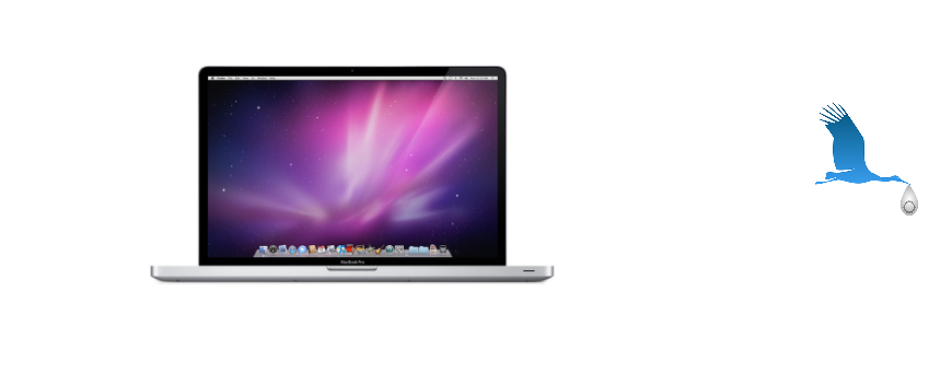 A1297 MacBookPro5,2 17"