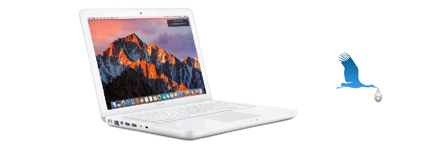 A1342-MacBook7,1 13"