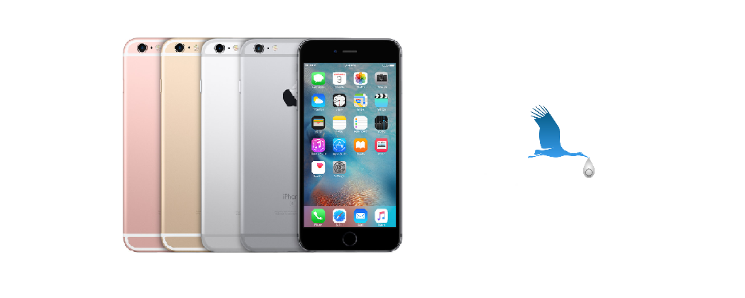 iPhone 6S+