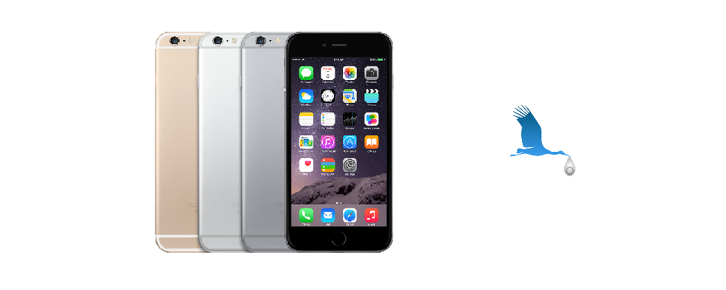 iPhone 6+
