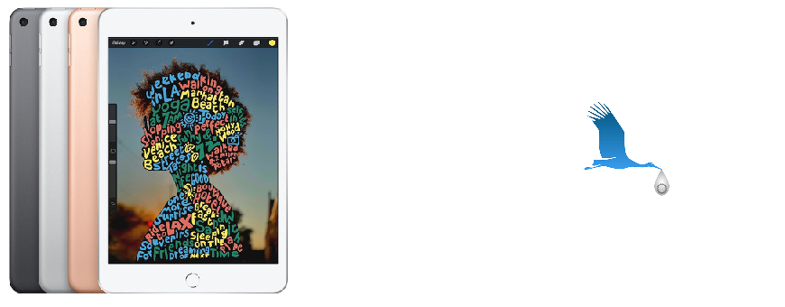 iPad mini 5 - 7,9" (2019)